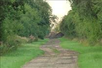 2010 Railtrack Bridge collapsed