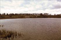 1981 Stanford Reservoir