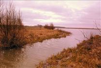 1981 Stanford Reservoir