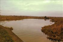 1981. Settling Pool