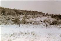 1981 Stanford Reservoir