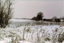 1981 Stanford Reservoir