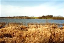 1984 Stanford Reservoir