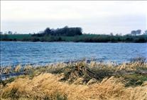 1990 Stanford Reservoir