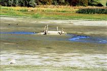 14th Oct 1990 Stanford Reservoir