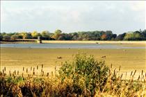 14th Oct 1990 Stanford Reservoir