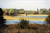 14th Oct 1990 Stanford Reservoir