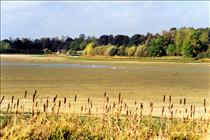 14th Oct 1990 Stanford Reservoir