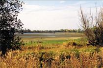 14th Oct 1990 Stanford Reservoir