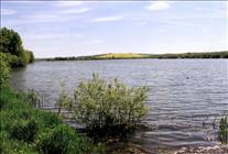 2001 Stanford Reservoir